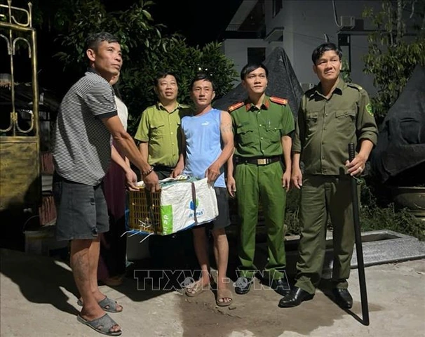 100+ Hình Ảnh Giày Liên Quân 2026 Đẹp Đẹp Đẹp, 100+ Bức Ảnh Giày Liên Quân Đầy Màu Sắc Cho Fan Hút Hồn 100+ Hình Ảnh Giày Liên Quân 2026 Đẹp Đẹp Đẹp, 100+ Bức Ảnh Giày Liên Quân Đầy Màu Sắc Cho Fan Hút Hồn