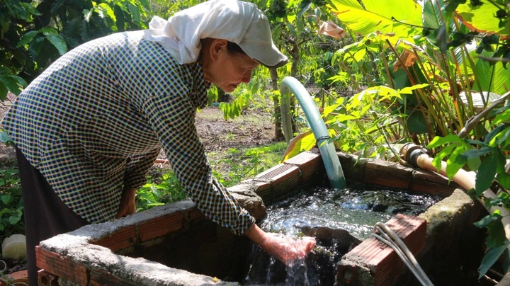 Hình Ảnh “giếng Nước Gốc Đa”: Ý Nghĩa Ẩn Dụ, Nguồn Gốc Lịch Sử Và Cách Sử Dụng Trong Văn Học, Giáo Dục Và Thiết Kế
