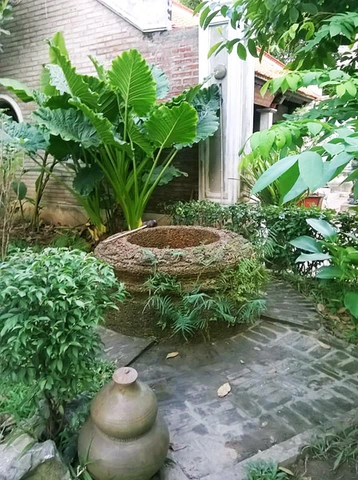 Hình Ảnh “giếng Nước Gốc Đa”: Ý Nghĩa Ẩn Dụ, Nguồn Gốc Lịch Sử Và Cách Sử Dụng Trong Văn Học, Giáo Dục Và Thiết Kế