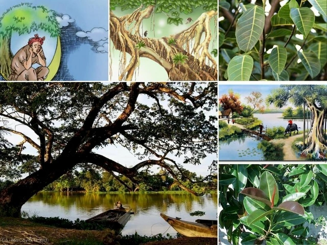 Hình Ảnh “giếng Nước Gốc Đa”: Ý Nghĩa Ẩn Dụ, Nguồn Gốc Lịch Sử Và Cách Sử Dụng Trong Văn Học, Giáo Dục Và Thiết Kế