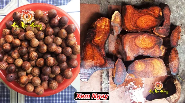 100+ Hình Ảnh Gỗ Sưa Đen 2026 Đẹp Nhất, Độ Phân Giải Cao, Sẵn Sàng Dùng Cho Thiết Kế 100+ Hình Ảnh Gỗ Sưa Đen 2026 Đẹp Nhất, Độ Phân Giải Cao, Sẵn Sàng Dùng Cho Thiết Kế