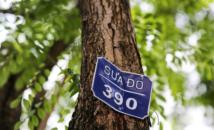 100+ Hình Ảnh Gỗ Sưa Đen 2026 Đẹp Nhất, Độ Phân Giải Cao, Sẵn Sàng Dùng Cho Thiết Kế 100+ Hình Ảnh Gỗ Sưa Đen 2026 Đẹp Nhất, Độ Phân Giải Cao, Sẵn Sàng Dùng Cho Thiết Kế