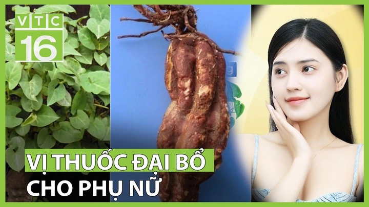 100+ Hình Ảnh Hà Thủ Ô Đẹp Đẹp 2026, 100+ Wallpaper Hà Thủ Ô Cao Độ, Hình Nền Hà Thủ Ô Sắc Màu Độc Đáo 100+ Hình Ảnh Hà Thủ Ô Đẹp Đẹp 2026, 100+ Wallpaper Hà Thủ Ô Cao Độ, Hình Nền Hà Thủ Ô Sắc Màu Độc Đáo