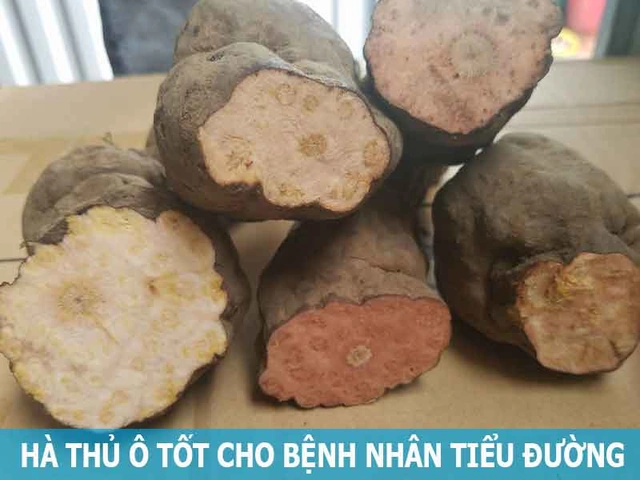 100+ Hình Ảnh Hà Thủ Ô Đẹp Đẹp 2026, 100+ Wallpaper Hà Thủ Ô Cao Độ, Hình Nền Hà Thủ Ô Sắc Màu Độc Đáo 100+ Hình Ảnh Hà Thủ Ô Đẹp Đẹp 2026, 100+ Wallpaper Hà Thủ Ô Cao Độ, Hình Nền Hà Thủ Ô Sắc Màu Độc Đáo