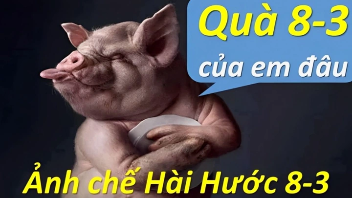 Hình Ảnh Hài Hước Về Ngày 8/3: Bộ Sưu Tập Meme, Caption & Đồ Dùng Độc Đáo Dành Cho Các Bạn Nam & Nữ Yêu Thích Cười Vui Hình Ảnh Hài Hước Về Ngày 8/3: Bộ Sưu Tập Meme, Caption & Đồ Dùng Độc Đáo Dành Cho Các Bạn Nam & Nữ Yêu Thích Cười Vui