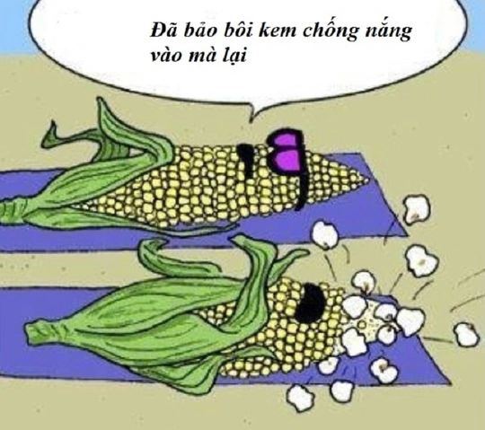 Những Bức Ảnh Hài Hước Về Nắng Nóng: Bộ Sưu Tập “giải Nhiệt” Dành Cho Người Dùng Mạng Những Bức Ảnh Hài Hước Về Nắng Nóng: Bộ Sưu Tập “giải Nhiệt” Dành Cho Người Dùng Mạng