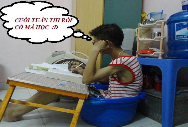 Những Bức Ảnh Hài Hước Về Nắng Nóng: Bộ Sưu Tập “giải Nhiệt” Dành Cho Người Dùng Mạng Những Bức Ảnh Hài Hước Về Nắng Nóng: Bộ Sưu Tập “giải Nhiệt” Dành Cho Người Dùng Mạng