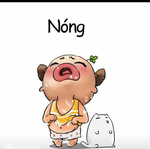 Những Bức Ảnh Hài Hước Về Nắng Nóng: Bộ Sưu Tập “giải Nhiệt” Dành Cho Người Dùng Mạng Những Bức Ảnh Hài Hước Về Nắng Nóng: Bộ Sưu Tập “giải Nhiệt” Dành Cho Người Dùng Mạng