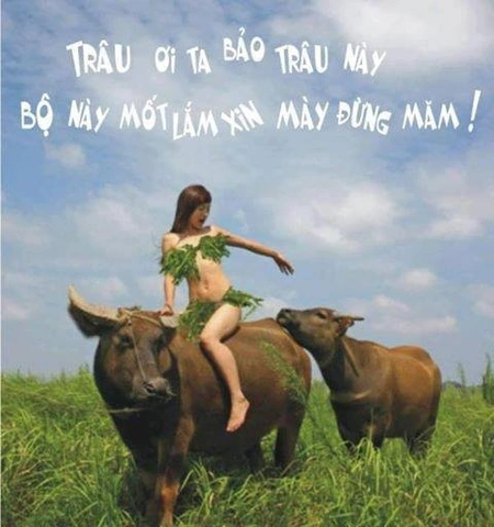 Những Bức Ảnh Hài Hước Về Nắng Nóng: Bộ Sưu Tập “giải Nhiệt” Dành Cho Người Dùng Mạng Những Bức Ảnh Hài Hước Về Nắng Nóng: Bộ Sưu Tập “giải Nhiệt” Dành Cho Người Dùng Mạng
