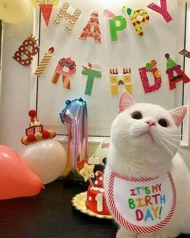 Tải Ngay 150+ Hình Ảnh Happy Birthday Vui Nhộn – Bộ Sưu Tập Độc Đáo Dành Cho Người Thân & Bạn Bè