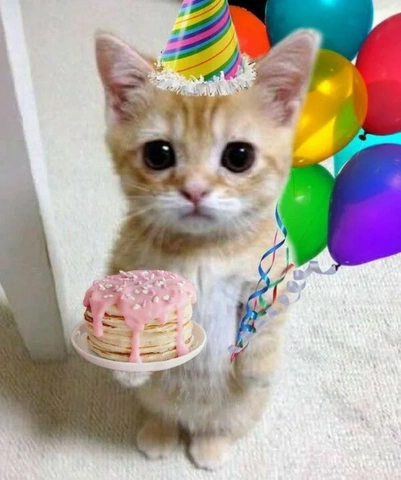 Tải Ngay 150+ Hình Ảnh Happy Birthday Vui Nhộn – Bộ Sưu Tập Độc Đáo Dành Cho Người Thân & Bạn Bè