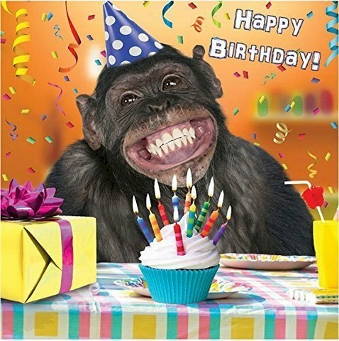 Tải Ngay 150+ Hình Ảnh Happy Birthday Vui Nhộn – Bộ Sưu Tập Độc Đáo Dành Cho Người Thân & Bạn Bè