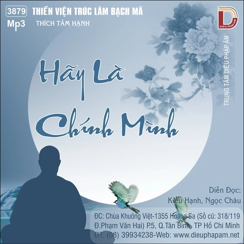 Hình Ảnh “hãy Sống Là Chính Mình”: Bộ Sưu Tập & Ý Nghĩa Độc Đáo Dành Cho Người Trẻ & Người Lớn