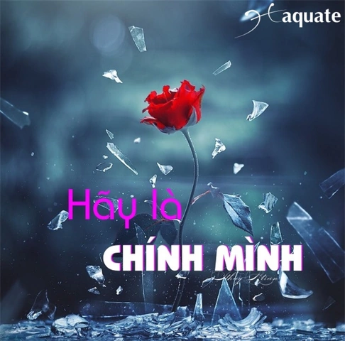 Hình Ảnh “hãy Sống Là Chính Mình”: Bộ Sưu Tập & Ý Nghĩa Độc Đáo Dành Cho Người Trẻ & Người Lớn