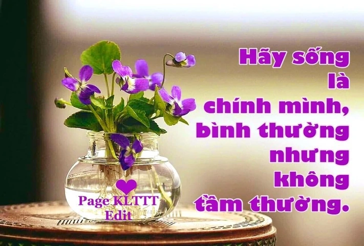 Hình Ảnh “hãy Sống Là Chính Mình”: Bộ Sưu Tập & Ý Nghĩa Độc Đáo Dành Cho Người Trẻ & Người Lớn
