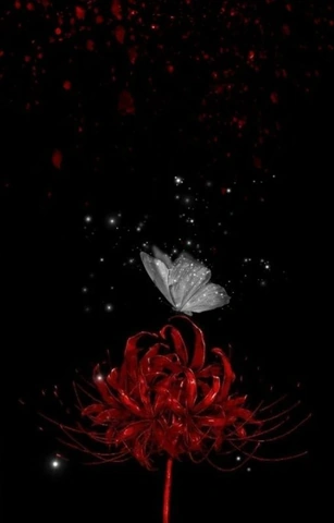 Hình Ảnh Hoa Bỉ Ngạn Đau Thương: Ý Nghĩa, Truyền Thuyết & Cách Tải Wallpaper Đẹp Nhất Hình Ảnh Hoa Bỉ Ngạn Đau Thương: Ý Nghĩa, Truyền Thuyết & Cách Tải Wallpaper Đẹp Nhất