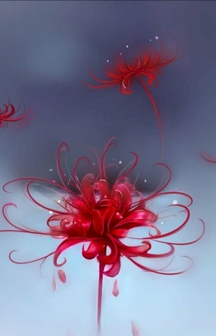 Hình Ảnh Hoa Bỉ Ngạn Đau Thương: Ý Nghĩa, Truyền Thuyết & Cách Tải Wallpaper Đẹp Nhất Hình Ảnh Hoa Bỉ Ngạn Đau Thương: Ý Nghĩa, Truyền Thuyết & Cách Tải Wallpaper Đẹp Nhất