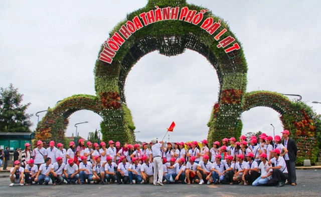 Hình Ảnh Hoa Đà Lạt Đẹp: Bộ Sưu Tập Toàn Diện Cho Người Yêu Thiên Nhiên & Du Lịch