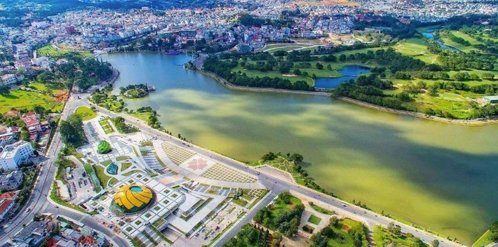 Hình Ảnh Hoa Đà Lạt Đẹp: Bộ Sưu Tập Toàn Diện Cho Người Yêu Thiên Nhiên & Du Lịch