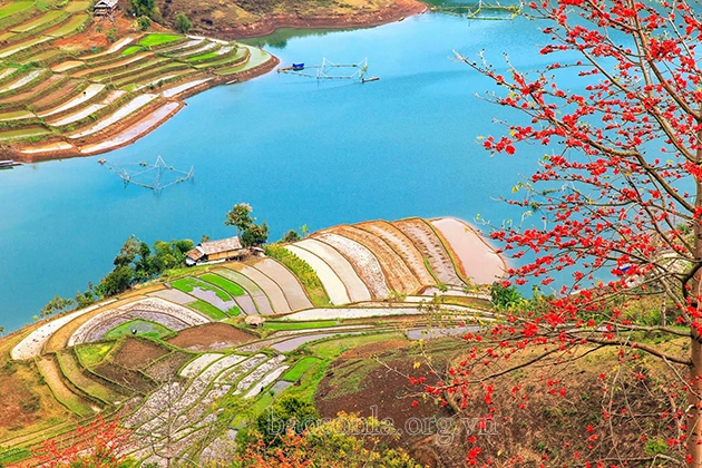 Hình Ảnh Hoa Gạo Tháng Ba: Bộ Sưu Tập Đầy Đủ, Lịch Sử & Mẹo Chụp Đẹp Dành Cho Người Yêu Thiên Nhiên Việt Nam Hình Ảnh Hoa Gạo Tháng Ba: Bộ Sưu Tập Đầy Đủ, Lịch Sử & Mẹo Chụp Đẹp Dành Cho Người Yêu Thiên Nhiên Việt Nam