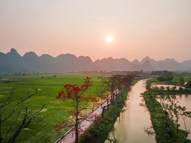 Hình Ảnh Hoa Gạo Tháng Ba: Bộ Sưu Tập Đầy Đủ, Lịch Sử & Mẹo Chụp Đẹp Dành Cho Người Yêu Thiên Nhiên Việt Nam Hình Ảnh Hoa Gạo Tháng Ba: Bộ Sưu Tập Đầy Đủ, Lịch Sử & Mẹo Chụp Đẹp Dành Cho Người Yêu Thiên Nhiên Việt Nam