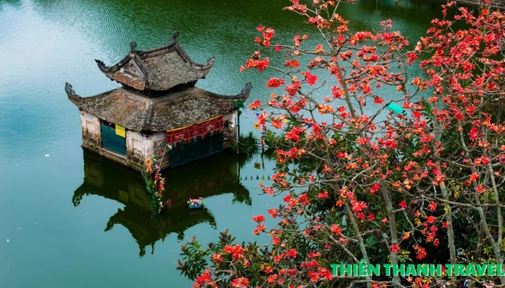 Hình Ảnh Hoa Gạo Tháng Ba: Bộ Sưu Tập Đầy Đủ, Lịch Sử & Mẹo Chụp Đẹp Dành Cho Người Yêu Thiên Nhiên Việt Nam Hình Ảnh Hoa Gạo Tháng Ba: Bộ Sưu Tập Đầy Đủ, Lịch Sử & Mẹo Chụp Đẹp Dành Cho Người Yêu Thiên Nhiên Việt Nam