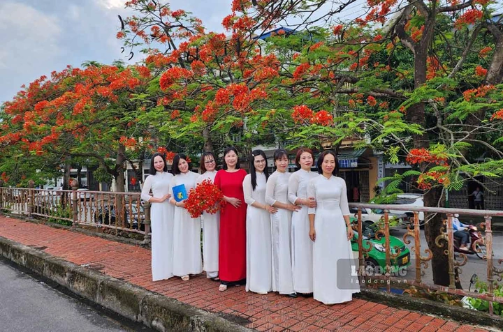 100+ Hình Ảnh Hoa Học Trò Đẹp 2026, Bộ Sưu Tập Đầy Màu Sắc 100+ Hình Ảnh Hoa Học Trò Đẹp 2026, Bộ Sưu Tập Đầy Màu Sắc