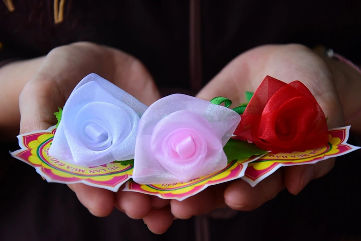 Hình Ảnh Hoa Hồng Cài Áo: Lịch Sử, Ý Nghĩa & Tải Miễn Phí Cho Mọi Người Yêu Thương (dành Cho Người Tìm Kiến Thông Tin & Người Thiết Kế) Hình Ảnh Hoa Hồng Cài Áo: Lịch Sử, Ý Nghĩa & Tải Miễn Phí Cho Mọi Người Yêu Thương (dành Cho Người Tìm Kiến Thông Tin & Người Thiết Kế)