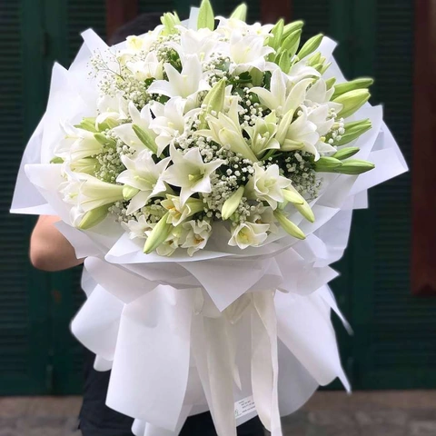Hình Ảnh Hoa Loa Kèn Trắng Đẹp Nhất: Tập Hợp 5,000+ Ảnh Độc Quyền Cho Người Yêu Thiên Nhiên & Trang Trí Nội Thất Hình Ảnh Hoa Loa Kèn Trắng Đẹp Nhất: Tập Hợp 5,000+ Ảnh Độc Quyền Cho Người Yêu Thiên Nhiên & Trang Trí Nội Thất