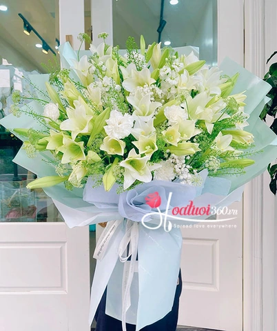 Hình Ảnh Hoa Loa Kèn Trắng Đẹp Nhất: Tập Hợp 5,000+ Ảnh Độc Quyền Cho Người Yêu Thiên Nhiên & Trang Trí Nội Thất Hình Ảnh Hoa Loa Kèn Trắng Đẹp Nhất: Tập Hợp 5,000+ Ảnh Độc Quyền Cho Người Yêu Thiên Nhiên & Trang Trí Nội Thất
