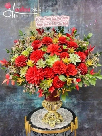 100+ Hình Ảnh Hoa Sen Đá Đẹp: Bộ Sưu Tập Đầy Cảm Hứng Dành Cho Người Yêu Thiên Nhiên & Thiết Kế