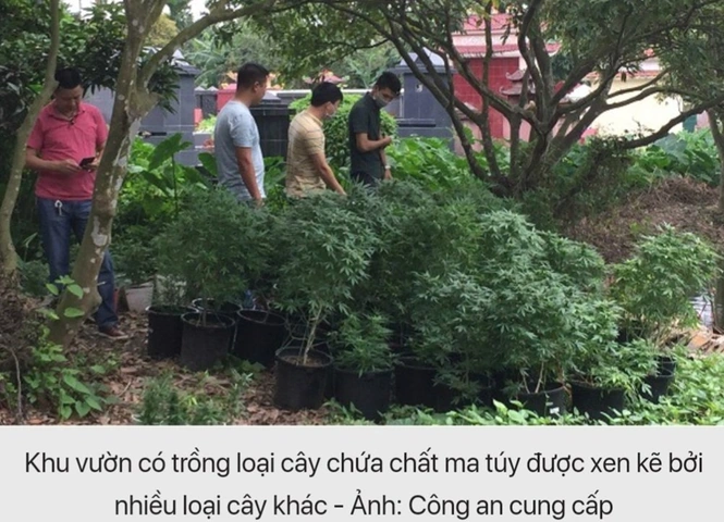 Hình Ảnh Hội Đức Chúa Trời: Tổng Hợp, Phân Tích & Nhận Diện Đúng Đắn Cho Người Tìm Hiểu