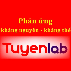 100+ Hình Ảnh Kháng Thể Độ Phân Giải 4k Đẹp Nhất 2026, Tải Miễn Phí, Sử Dụng Cho Bài Thuyết Trình, Nghiên Cứu, Poster 100+ Hình Ảnh Kháng Thể Độ Phân Giải 4k Đẹp Nhất 2026, Tải Miễn Phí, Sử Dụng Cho Bài Thuyết Trình, Nghiên Cứu, Poster