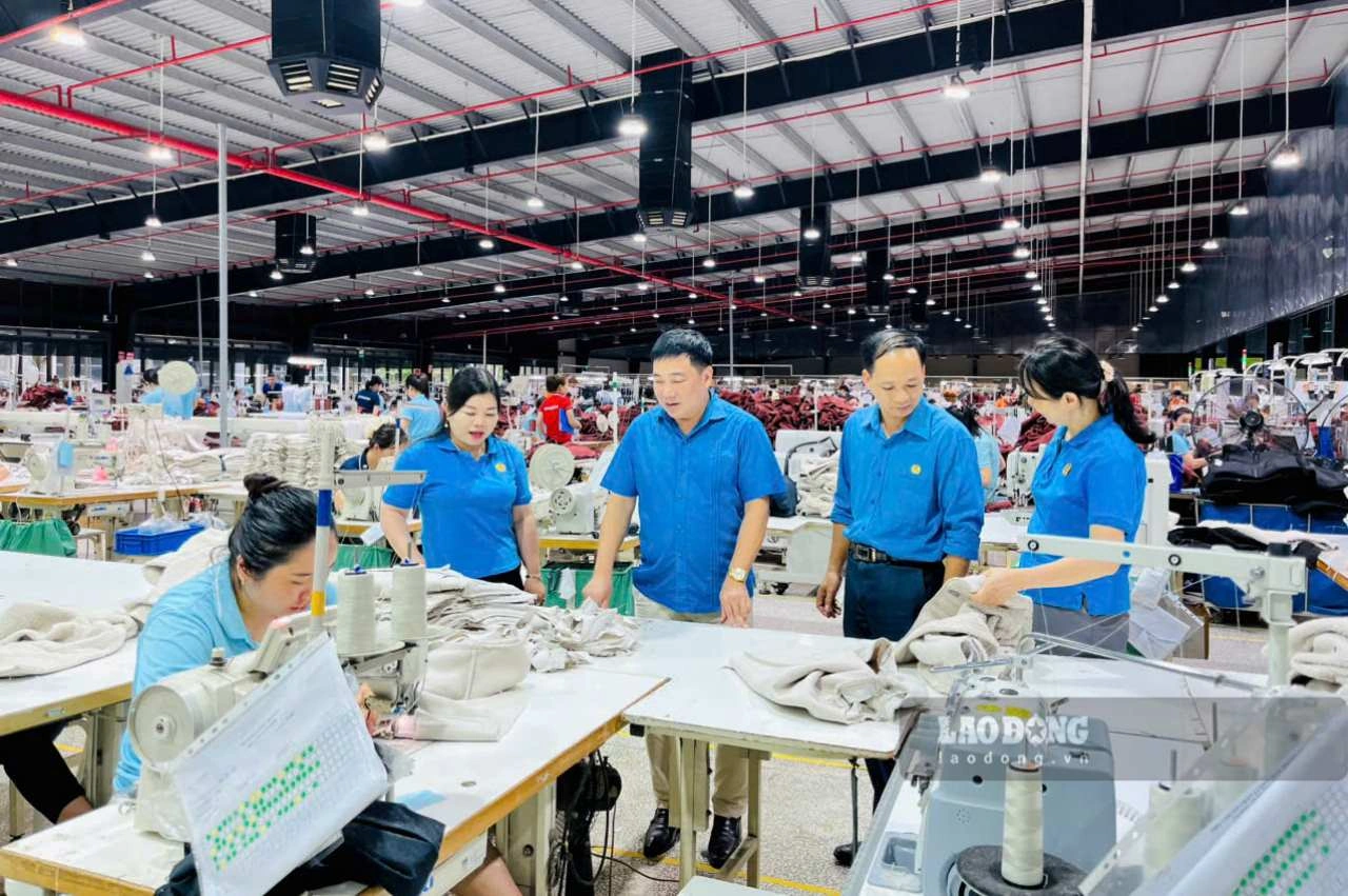 100+ Hình Ảnh Khay Cơm Đẹp 2026 – Bộ Sưu Tập Đầy Đủ Để Tạo Bối Cảnh Bữa Ăn, 100+ Hình Ảnh Khay Cơm Độc Đáo Cho Mọi Nhu Cầu, 100+ Ảnh Khay Cơm Sáng Tạo Khiến Mọi Bữa Ăn Thêm Phấn Khích?