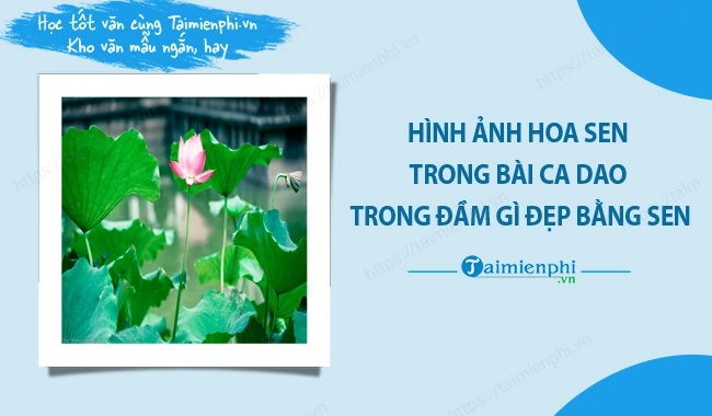 100+ Hình Ảnh Lá Bài Đẹp Full Hd 2026 – Bộ Sưu Tập Độc Đáo Cho Mọi Nhu Cầu 100+ Hình Ảnh Lá Bài Đẹp Full Hd 2026 – Bộ Sưu Tập Độc Đáo Cho Mọi Nhu Cầu