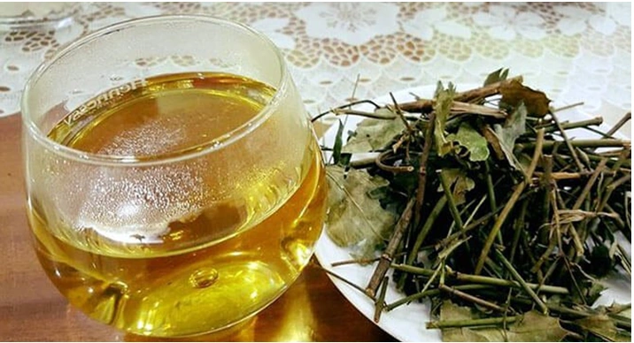 Hình Ảnh Lá Chè Vằng Khô: Đặc Điểm, Công Dụng & Cách Phân Biệt Với Các Loại Lá Khác (dành Cho Người Quan Tâm Đến Dược Thảo Dược) Hình Ảnh Lá Chè Vằng Khô: Đặc Điểm, Công Dụng & Cách Phân Biệt Với Các Loại Lá Khác (dành Cho Người Quan Tâm Đến Dược Thảo Dược)