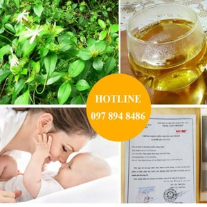 Hình Ảnh Lá Chè Vằng Khô: Đặc Điểm, Công Dụng & Cách Phân Biệt Với Các Loại Lá Khác (dành Cho Người Quan Tâm Đến Dược Thảo Dược) Hình Ảnh Lá Chè Vằng Khô: Đặc Điểm, Công Dụng & Cách Phân Biệt Với Các Loại Lá Khác (dành Cho Người Quan Tâm Đến Dược Thảo Dược)