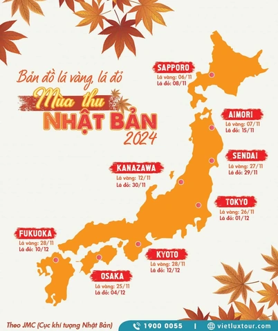 Hình Ảnh Lá Đỏ Nhật Bản: Bộ Sưu Tập Đỉnh Cao & Hướng Dẫn Chụp Đẹp Cho Du Khách Hình Ảnh Lá Đỏ Nhật Bản: Bộ Sưu Tập Đỉnh Cao & Hướng Dẫn Chụp Đẹp Cho Du Khách