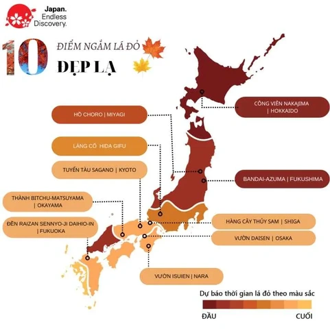 Hình Ảnh Lá Đỏ Nhật Bản: Bộ Sưu Tập Đỉnh Cao & Hướng Dẫn Chụp Đẹp Cho Du Khách Hình Ảnh Lá Đỏ Nhật Bản: Bộ Sưu Tập Đỉnh Cao & Hướng Dẫn Chụp Đẹp Cho Du Khách