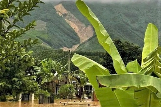 100+ Hình Ảnh Lá Vông 2026 Đẹp Nhất, 100+ Bức Wallpaper & Avatar 100+ Hình Ảnh Lá Vông 2026 Đẹp Nhất, 100+ Bức Wallpaper & Avatar