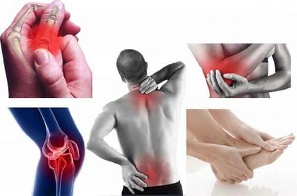 100+ Hình Ảnh Lá Xương Sông 2026 – Bộ Sưu Tập Đẹp Nhất, Bạn Đã Xem Chưa? 100+ Hình Ảnh Lá Xương Sông 2026 – Bộ Sưu Tập Đẹp Nhất, Bạn Đã Xem Chưa?