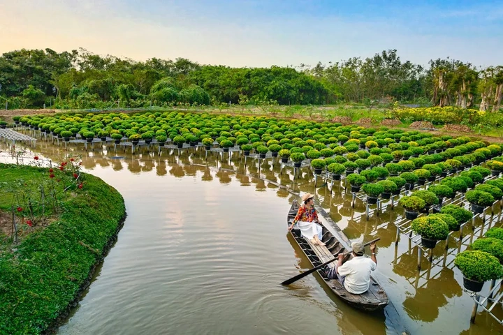 100+ Hình Ảnh Lá Xương Sông 2026 – Bộ Sưu Tập Đẹp Nhất, Bạn Đã Xem Chưa? 100+ Hình Ảnh Lá Xương Sông 2026 – Bộ Sưu Tập Đẹp Nhất, Bạn Đã Xem Chưa?