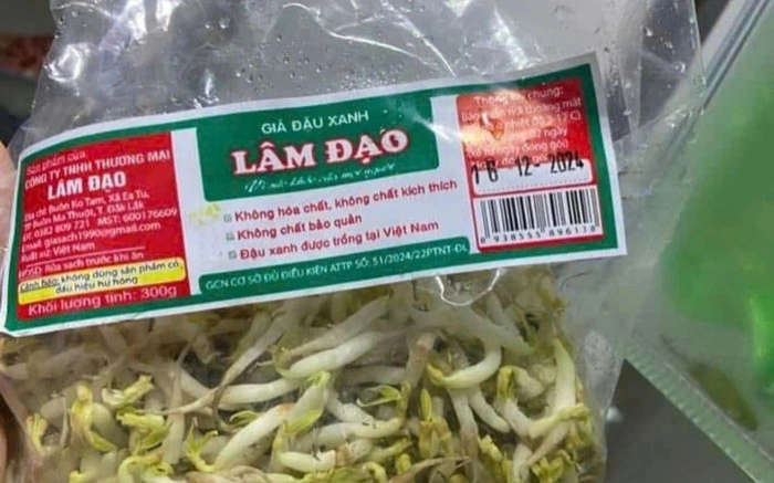 100+ Hình Ảnh Làm Giá Đỗ 2026 - Bộ Sưu Tập Đẹp Nhất 100+ Hình Ảnh Làm Giá Đỗ 2026 - Bộ Sưu Tập Đẹp Nhất