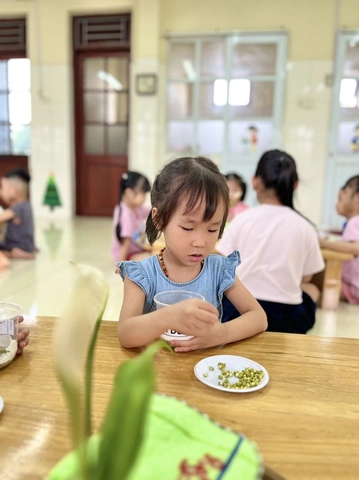 100+ Hình Ảnh Làm Giá Đỗ 2026 - Bộ Sưu Tập Đẹp Nhất 100+ Hình Ảnh Làm Giá Đỗ 2026 - Bộ Sưu Tập Đẹp Nhất