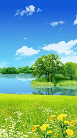 Tải & Tạo Hình Ảnh Làm Hình Nền Đẹp: Hướng Dẫn Chi Tiết Cho Người Dùng Máy Tính & Điện Thoại Tải & Tạo Hình Ảnh Làm Hình Nền Đẹp: Hướng Dẫn Chi Tiết Cho Người Dùng Máy Tính & Điện Thoại