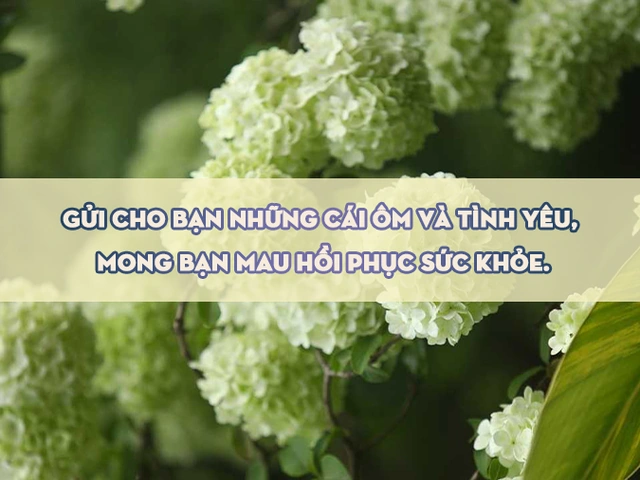 Tải 101+ Hình Ảnh Lời Chúc Sức Khỏe Đẹp, Ý Nghĩa & Sẵn Sàng Dùng – Dành Cho Người Thân, Bạn Bè & Doanh Nghiệp Tải 101+ Hình Ảnh Lời Chúc Sức Khỏe Đẹp, Ý Nghĩa & Sẵn Sàng Dùng – Dành Cho Người Thân, Bạn Bè & Doanh Nghiệp