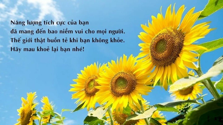 Tải 101+ Hình Ảnh Lời Chúc Sức Khỏe Đẹp, Ý Nghĩa & Sẵn Sàng Dùng – Dành Cho Người Thân, Bạn Bè & Doanh Nghiệp Tải 101+ Hình Ảnh Lời Chúc Sức Khỏe Đẹp, Ý Nghĩa & Sẵn Sàng Dùng – Dành Cho Người Thân, Bạn Bè & Doanh Nghiệp