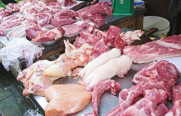 100+ Hình Ảnh Lợn Thuộc Nhiều Chủ Đề 2026, 100+ Bức Ảnh Lợn Đẹp Độc Đáo, 100+ Hình Lợn Đậm Sắc Cho Mọi Nhu Cầu?