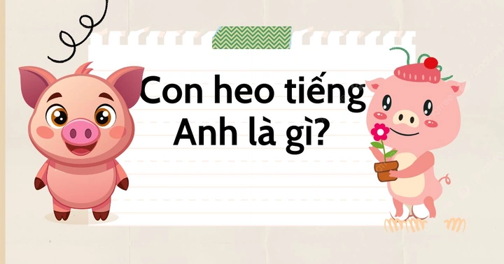 100+ Hình Ảnh Lợn Thuộc Nhiều Chủ Đề 2026, 100+ Bức Ảnh Lợn Đẹp Độc Đáo, 100+ Hình Lợn Đậm Sắc Cho Mọi Nhu Cầu?