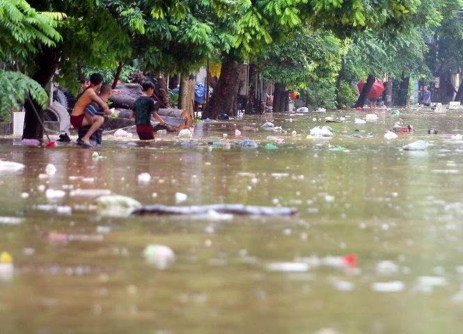 Hình Ảnh Lũ Lụt Yên Bái 2026: Tổng Hợp Tình Hình, Thiệt Hại & Cách Ứng Phó Cho Người Dân